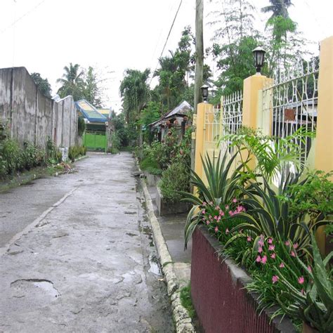 Visayan Village, Tagum, Davao del Norte House and lot For Sale.